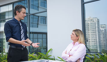 Business consultant explaining an idea